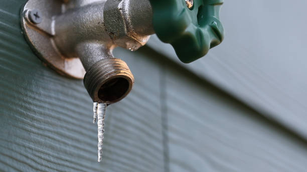 Best Residential Plumbing Services  in Marina Del Rey, CA